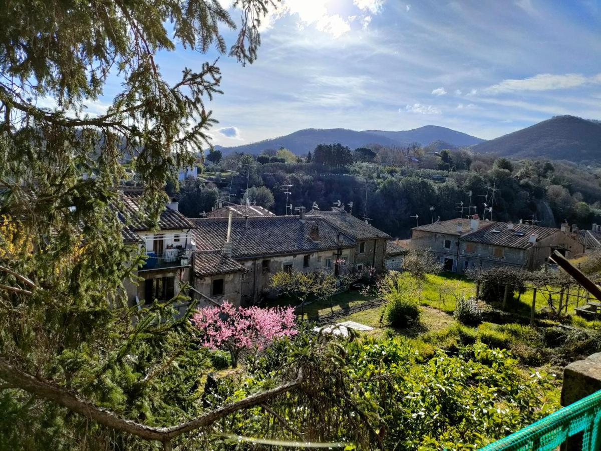 Villa Lante Viterbo Apartment Экстерьер фото